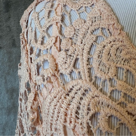 Romantic Rosette Coquette Lace Embroidered Elegant Pink Dress Sz 8 - Picture 4 of 12